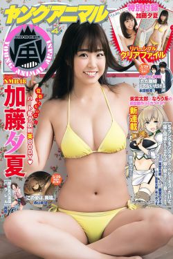 日本可脱身服全去掉的游戏模拟器